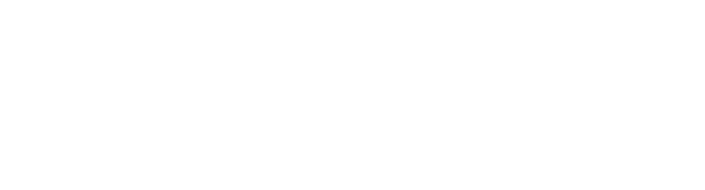 Voice AI API
